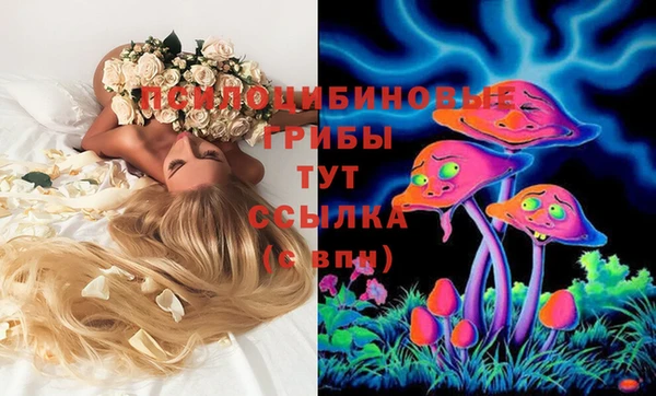 мяу мяу кристалл Гусь-Хрустальный