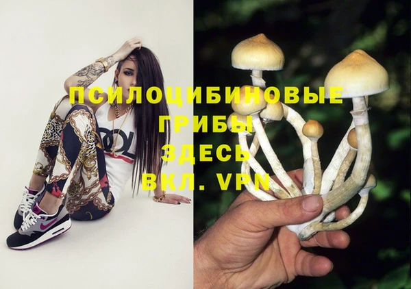 мяу мяу кристалл Гусь-Хрустальный