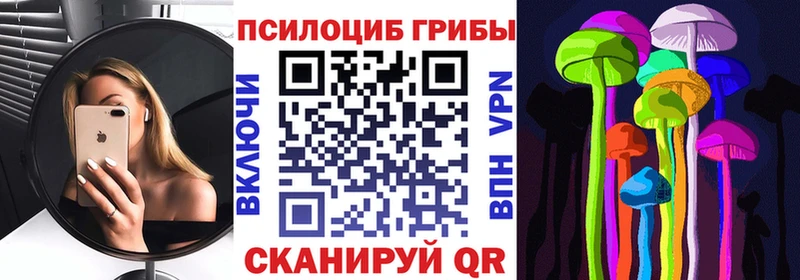 Купить где  Белый  Псилоцибиновые грибы Magic Shrooms 